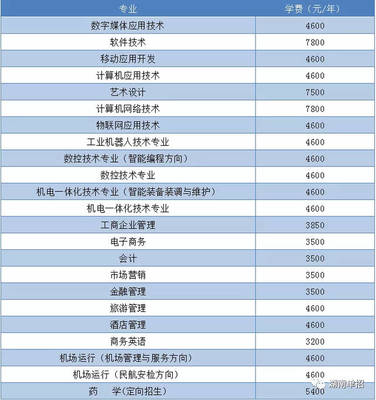 湖南省單招考試報(bào)考計(jì)算機(jī)、軟件類專業(yè)院校與重點(diǎn)推薦—聚焦技術(shù)開(kāi)發(fā)與銷售